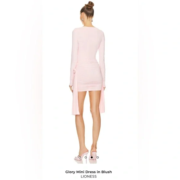 Lioness Long-Sleeve Blush Dress - Picture 3 of 13